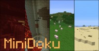  "MiniDoku"  