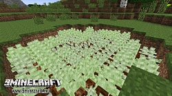  Its All About Money 1.7.10 |  